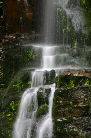 Minnamurra falls