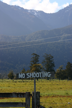 No Shooting